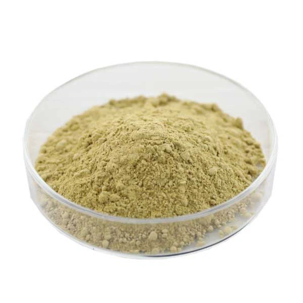 Oyster go'shti kukuni